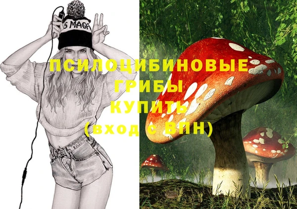 хмурый Белоозёрский