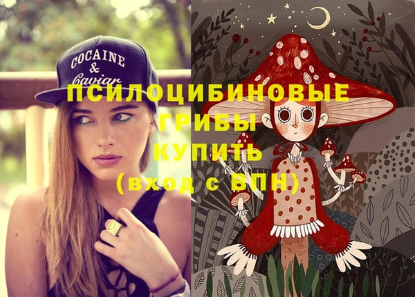 хмурый Белоозёрский