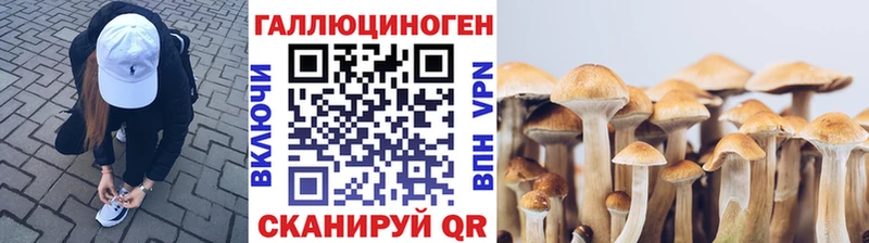 Галлюциногенные грибы Cubensis  Минеральные Воды 
